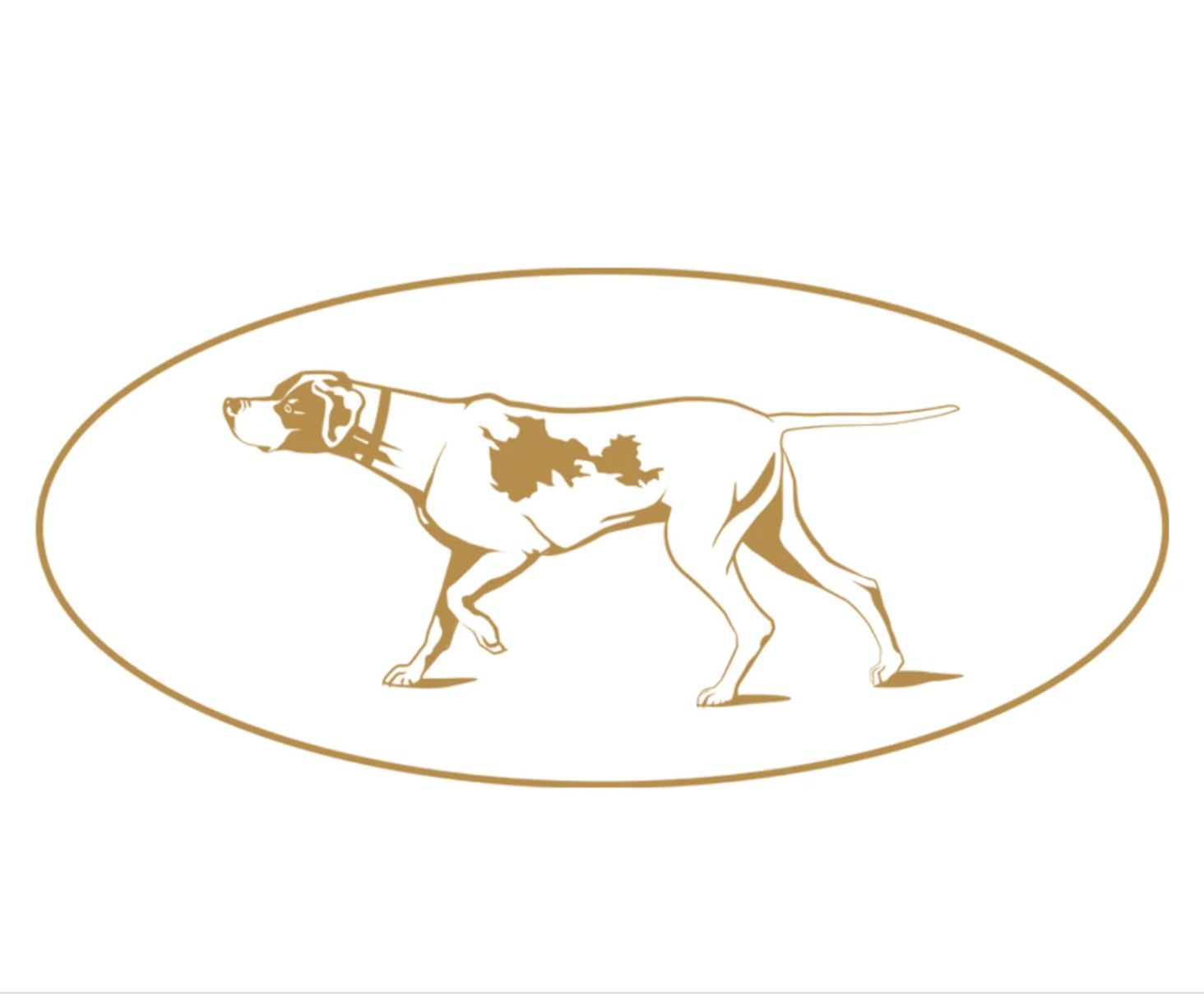 Here Come the Judges